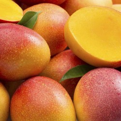 Mangoes-Apple Mangoes per 4Pcs