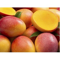 Mangoes-Apple Mangoes per 4Pcs