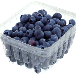 Blueberries  per packet