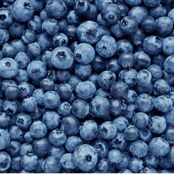 Blueberries-Box