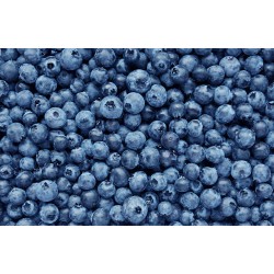 Blueberries-Box