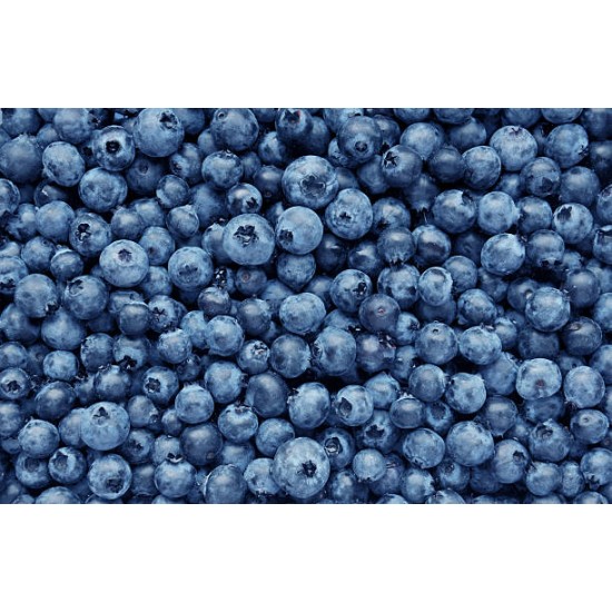 Blueberries-Box