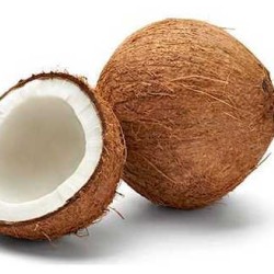 Brown Coconut 1Pcs-Medium