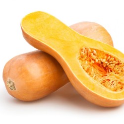 Butternut 1pc- Medium