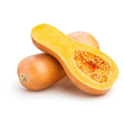 Butternut 1pc- Medium