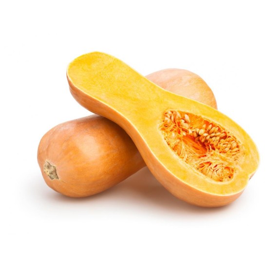 Butternut 1pc- Medium