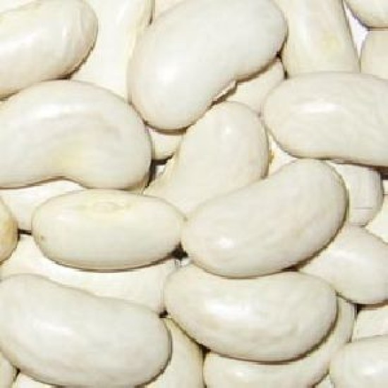 Beans- Big White Beans per 100Kg