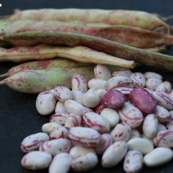 Beans-Fresh beans per 1kg