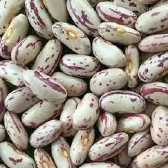 Beans-Masavu Beans per 100Kg