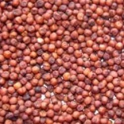 Sorghum-Red sorghum per Kg