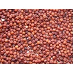 Sorghum-Red sorghum per Kg