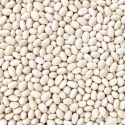 Beans- Small White Beans per 100Kg