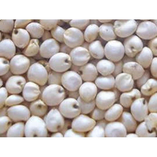 Sorghum-White sorghum per Kg