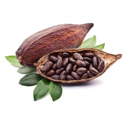 Cocoa per 1Piece