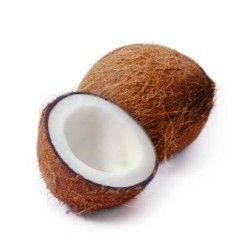 Brown Coconut 1Pcs-Big