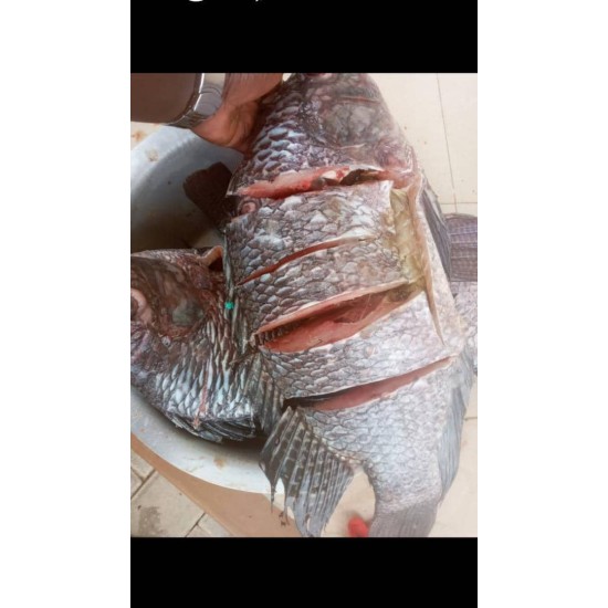 Fish-Fresh Still-Medium size per 1.5 Kg