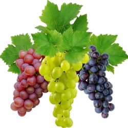 Grapes per Kg