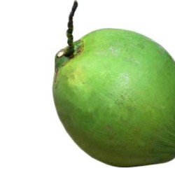 Green coconut 1pc -Medium