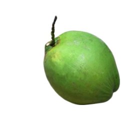 Green coconut 1pc -Medium