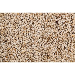 Sesame(Simsim) seeds per Kg