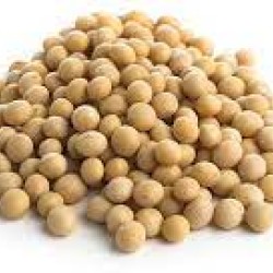 Soya Beans per Kg