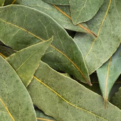 Bay Leaves(Mudalasini)  per packet