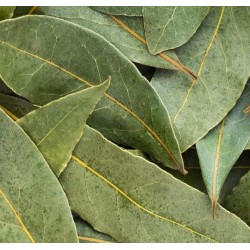 Bay Leaves(Mudalasini)  per packet