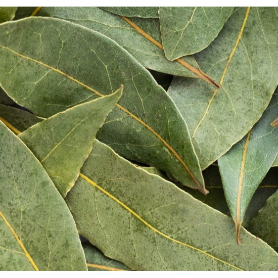 Bay Leaves(Mudalasini)  per packet