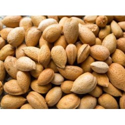 Casal nuts(Closed) per Kg