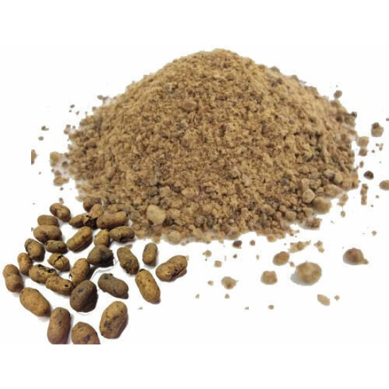 Cumin Powder per Kg