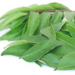 Curry leaves per bundle