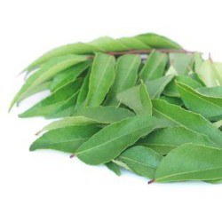 Curry leaves per bundle