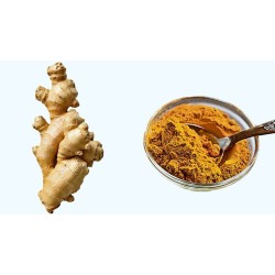 Ginger Powder per 100g