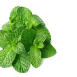 Mint per bunch medium