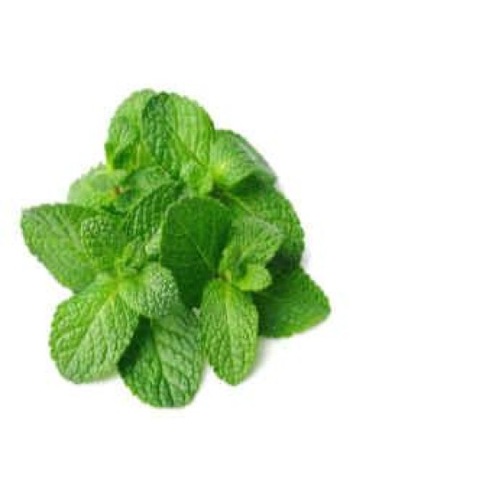 Mint per bunch medium