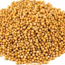 Mustard seeds per Kg