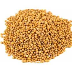 Mustard seeds per Kg