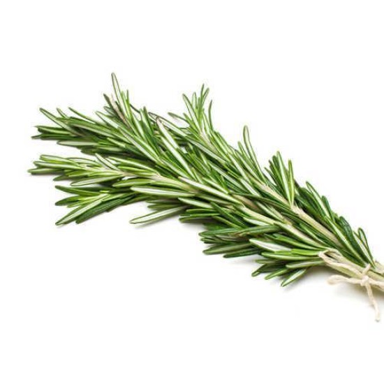 Rosemary per Kg