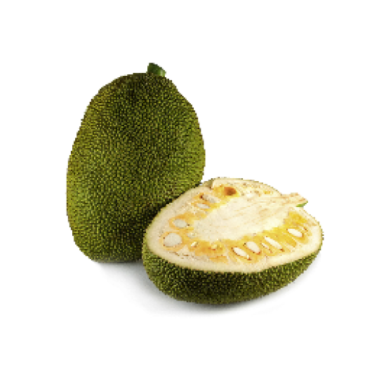 Jackfruit 1Pcs-Small