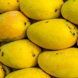 Mangoes-Kili mangoes Local 1kg