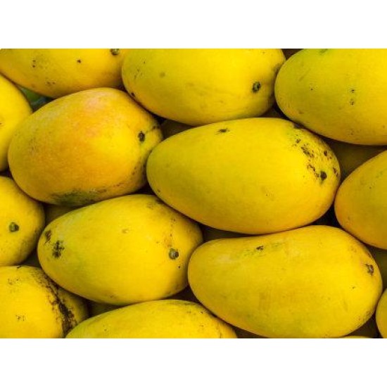 Mangoes-Kili mangoes Local 1kg