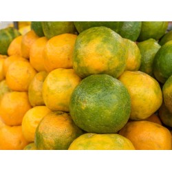 Oranges-Local oranges per 8 Pcs 