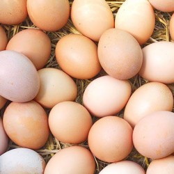 Eggs (White yolk)  per tray