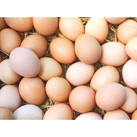 Eggs (White yolk)  per tray