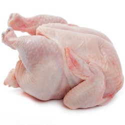 Meat-Broiler Chicken Meat per Kg