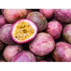 Passion Fruit-Kabale per 100Kg