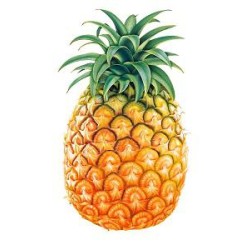 Pineapple 1pc Big