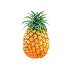 Pineapple-Small per piece