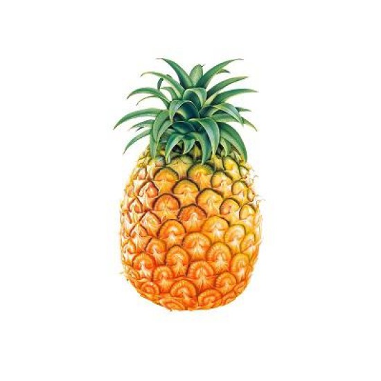 Pineapple 1Pcs-Medium