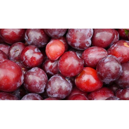 Plum per Box